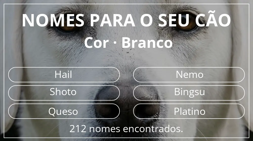 Nomes para cães com inspiração em cor branco