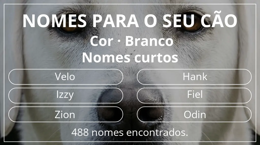 Nomes para cães com inspiração em cor branco e comprimento do nome curto (2–4)
