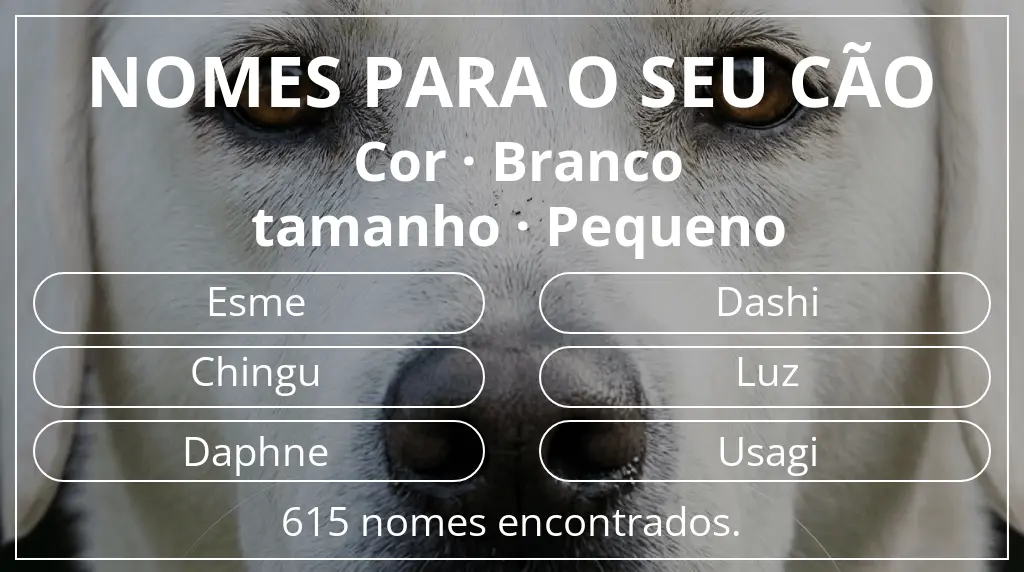 Nomes caninos baseados em cor branco e tamanho pequeno