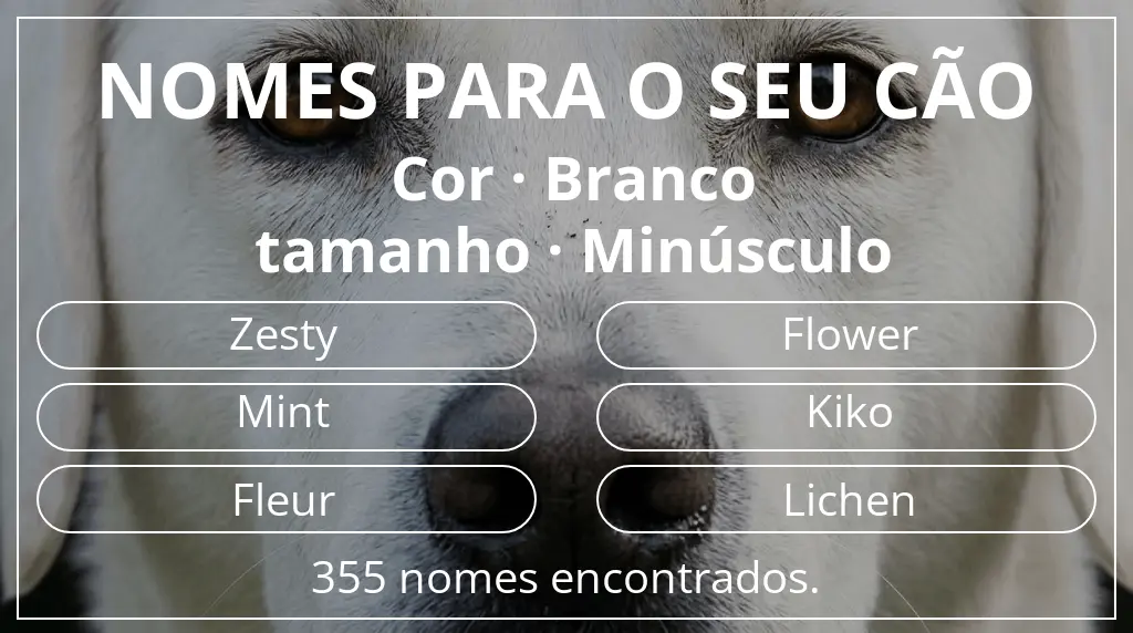 Nomes para cães com inspiração em cor branco e tamanho minúsculo